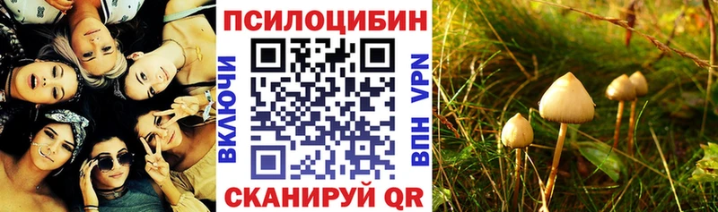 Псилоцибиновые грибы прущие грибы Костомукша