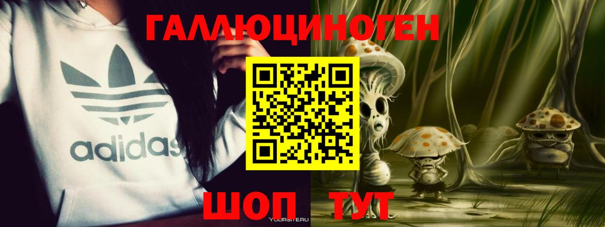Галлюциногенные грибы Psilocybine cubensis Костомукша